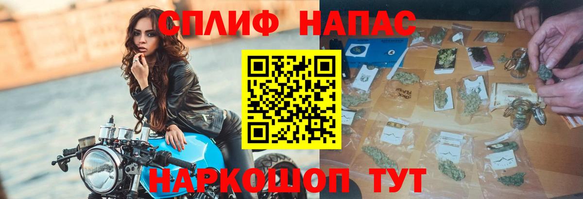 Конопля MAZAR Видное